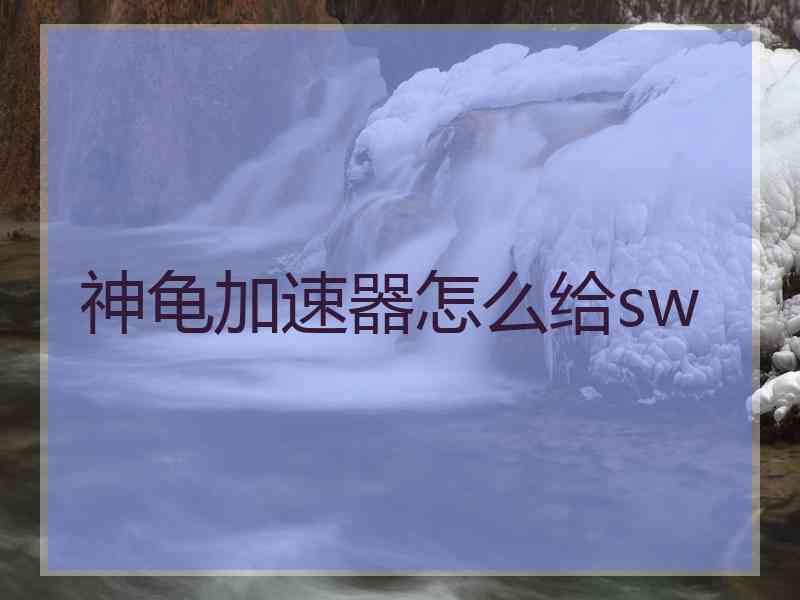 神龟加速器怎么给sw