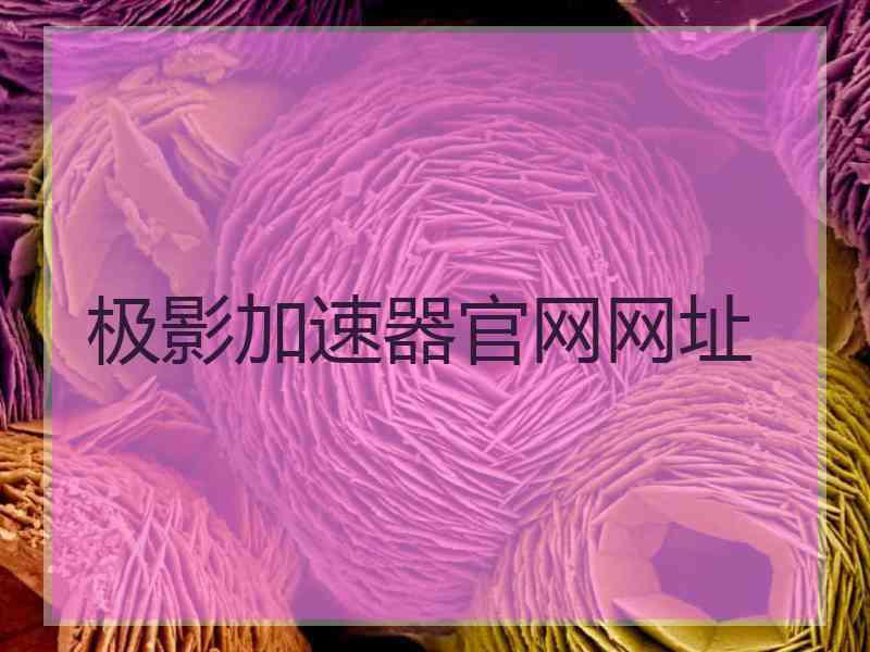 极影加速器官网网址