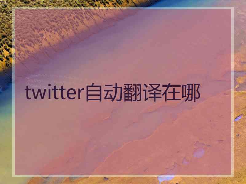 twitter自动翻译在哪