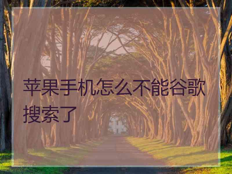 苹果手机怎么不能谷歌搜索了