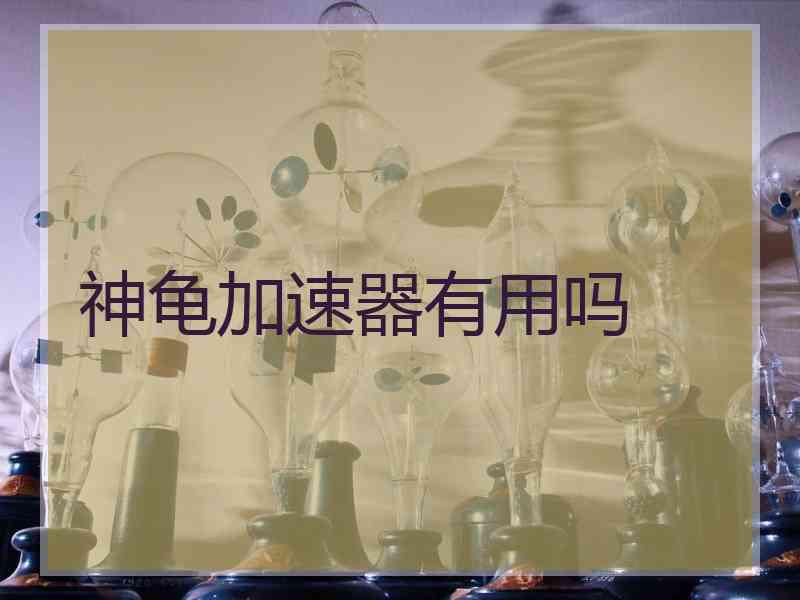 神龟加速器有用吗