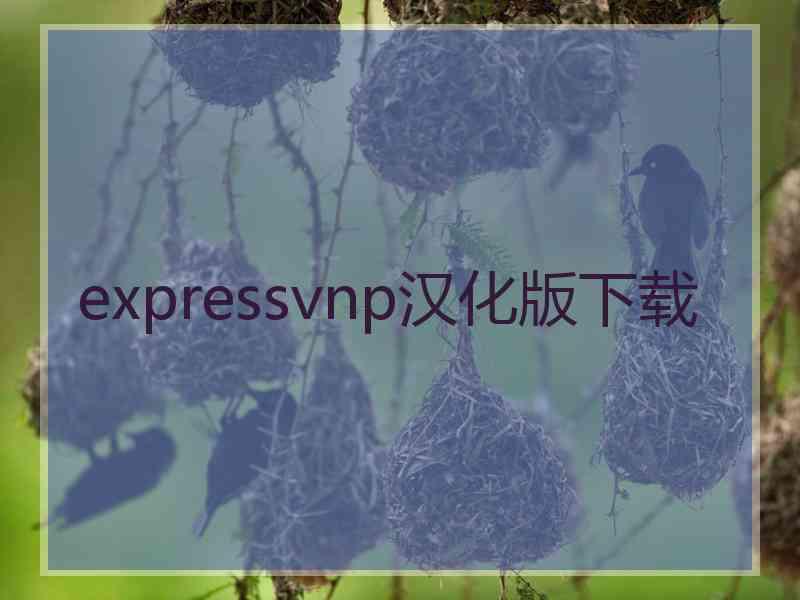 expressvnp汉化版下载