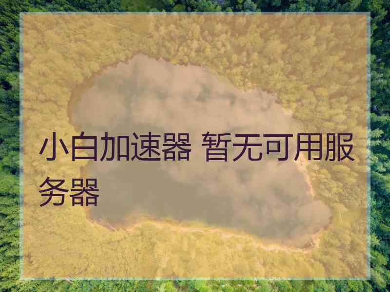 小白加速器 暂无可用服务器