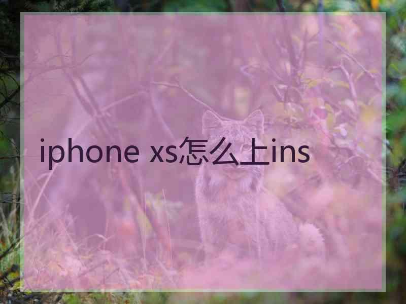 iphone xs怎么上ins