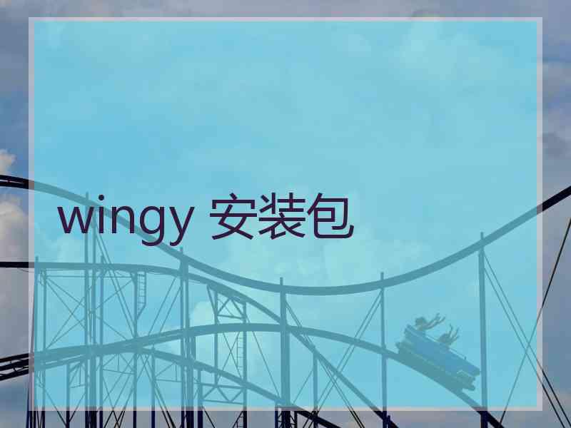 wingy 安装包