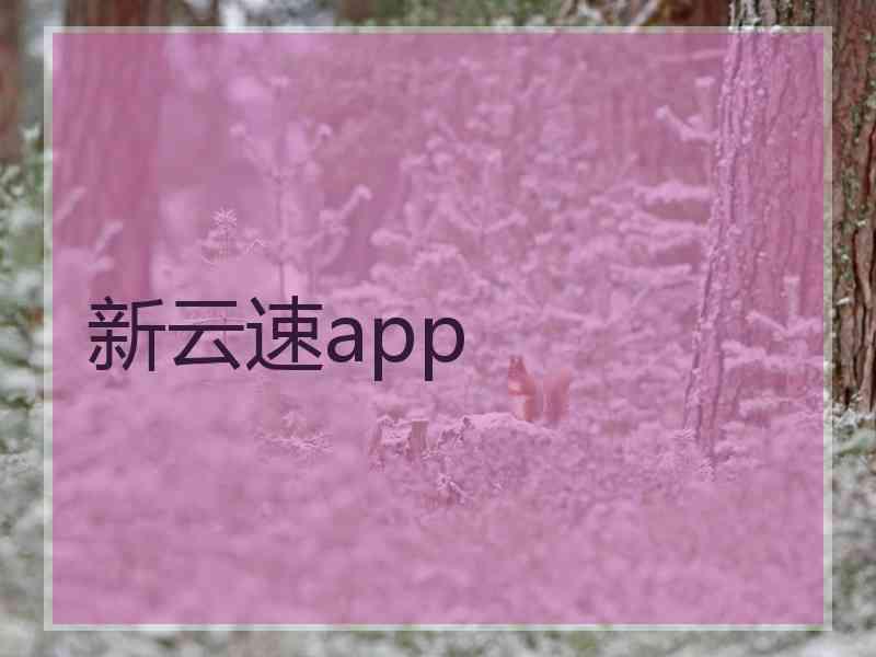 新云速app