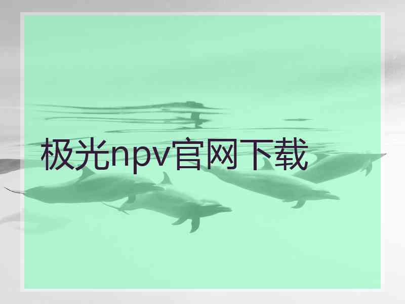 极光npv官网下载