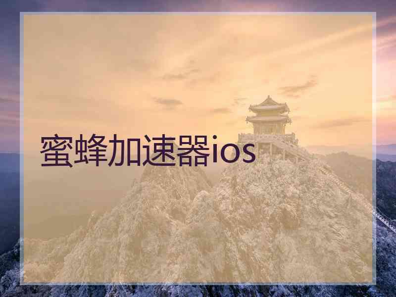 蜜蜂加速器ios