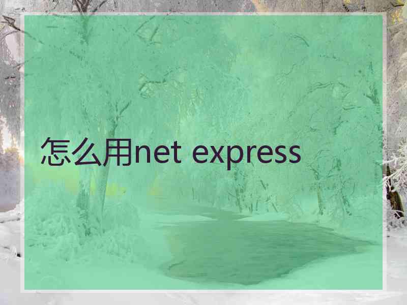 怎么用net express