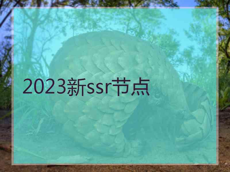 2023新ssr节点