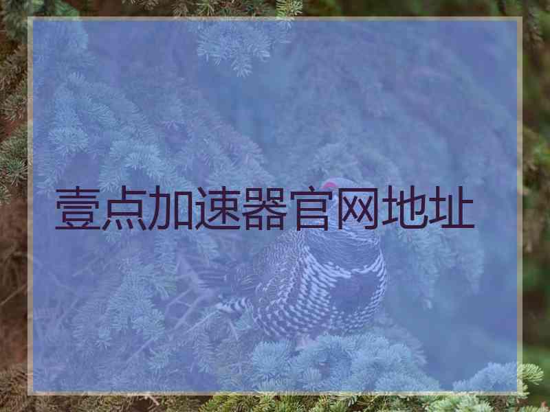 壹点加速器官网地址