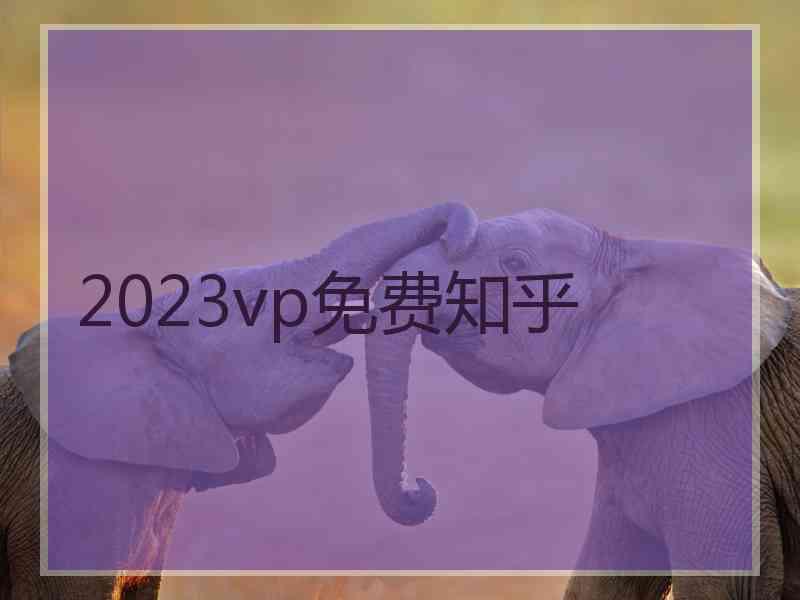 2023vp免费知乎