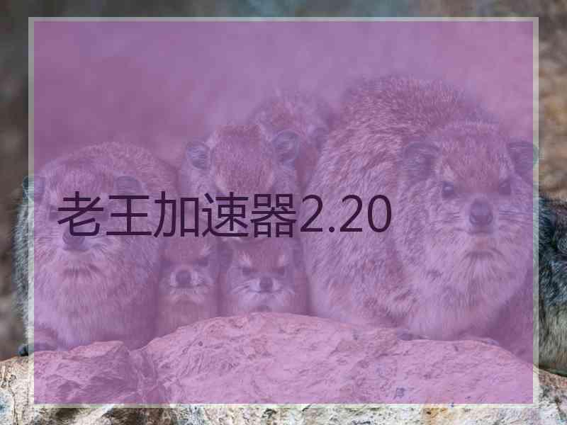 老王加速器2.20