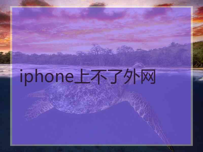 iphone上不了外网