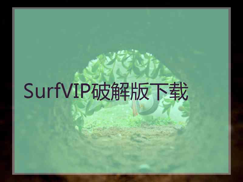 SurfVIP破解版下载