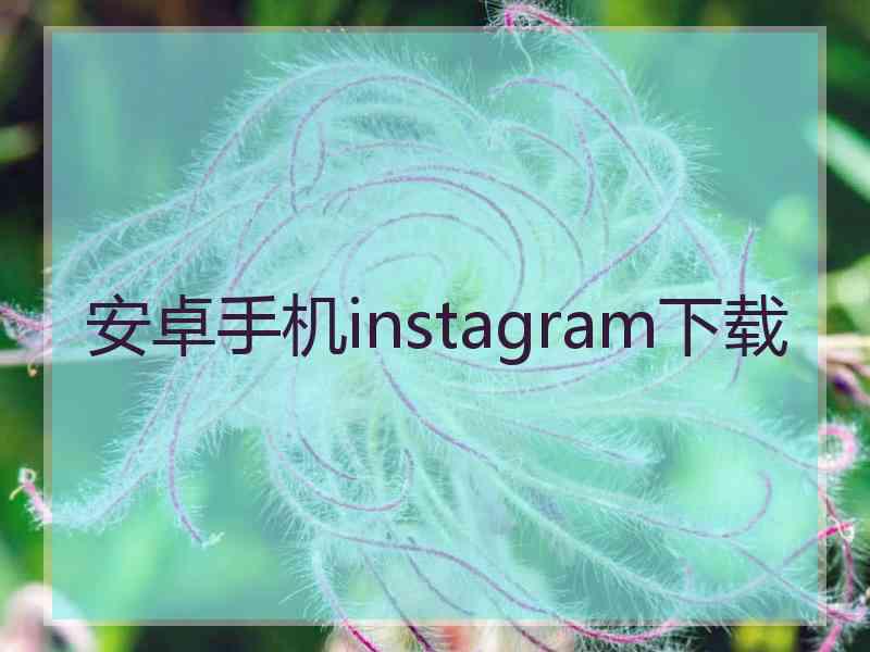 安卓手机instagram下载