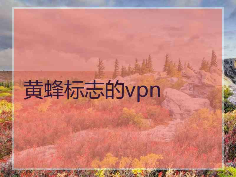 黄蜂标志的vpn