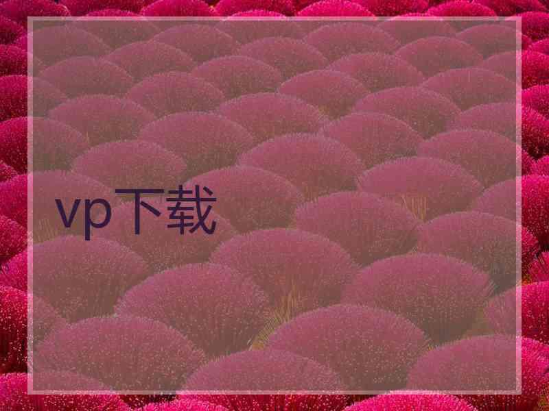 vp下载