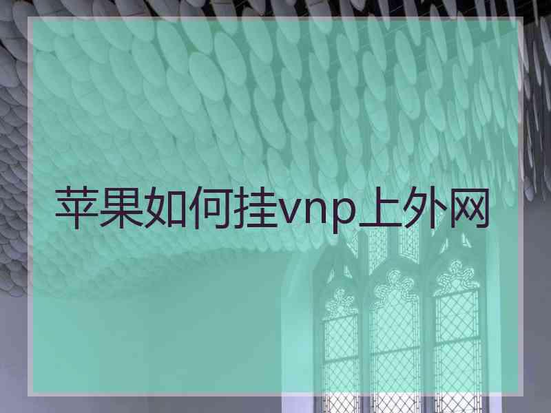 苹果如何挂vnp上外网