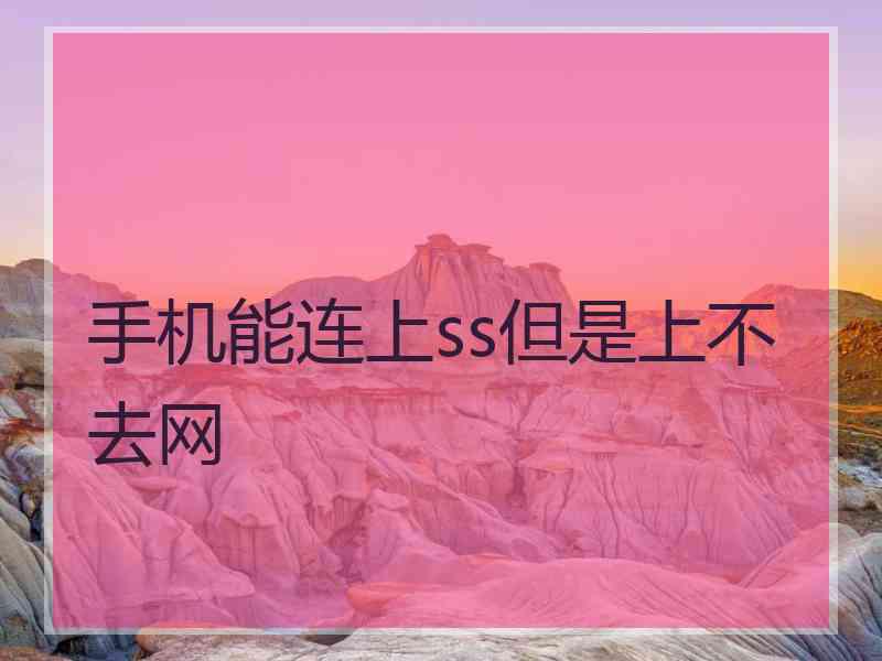 手机能连上ss但是上不去网