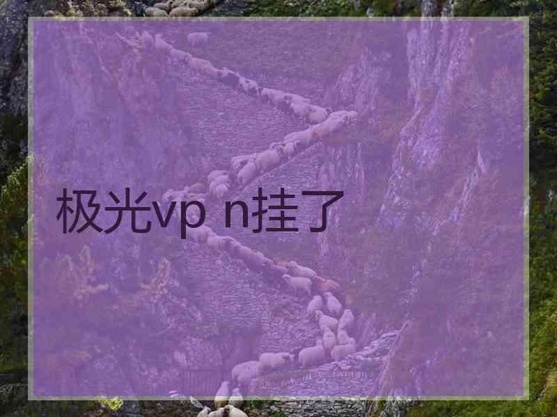 极光vp n挂了