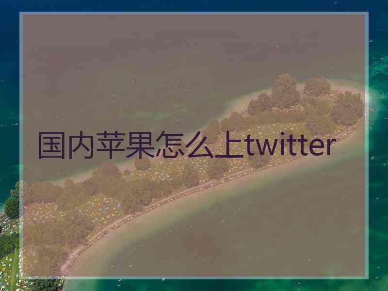 国内苹果怎么上twitter