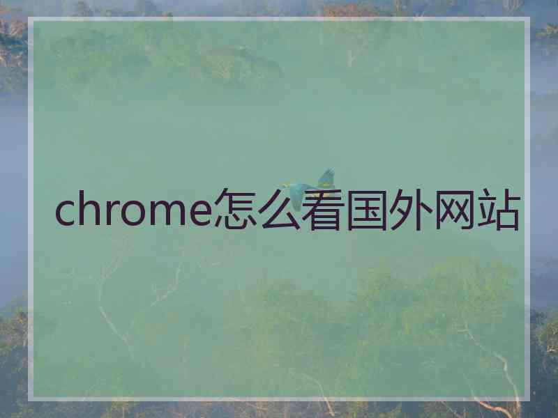 chrome怎么看国外网站