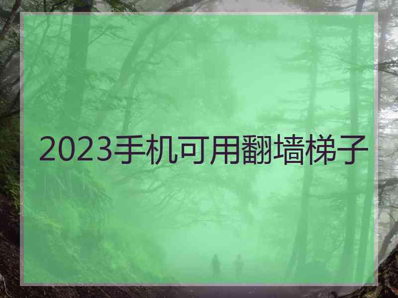 2023手机可用翻墙梯子