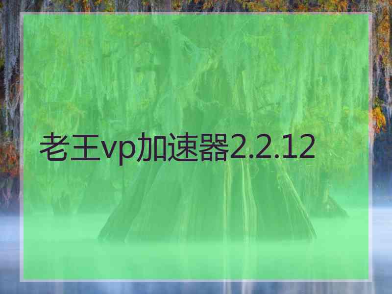 老王vp加速器2.2.12