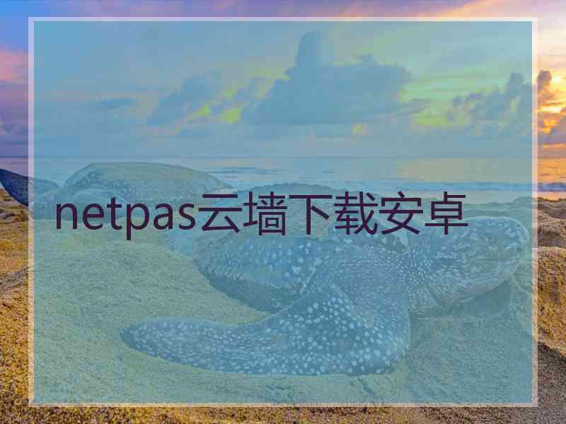 netpas云墙下载安卓