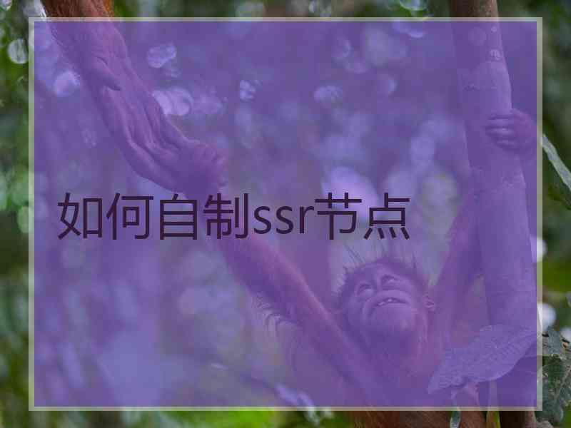 如何自制ssr节点