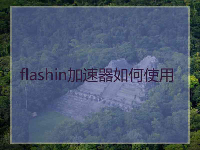 flashin加速器如何使用