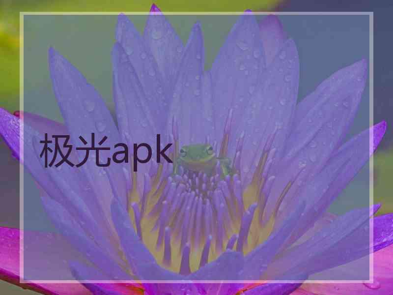 极光apk