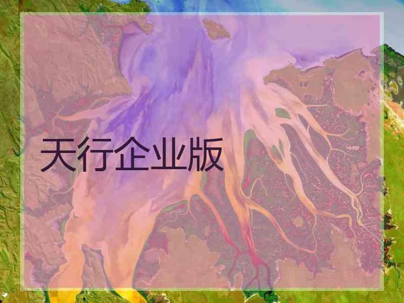 天行企业版