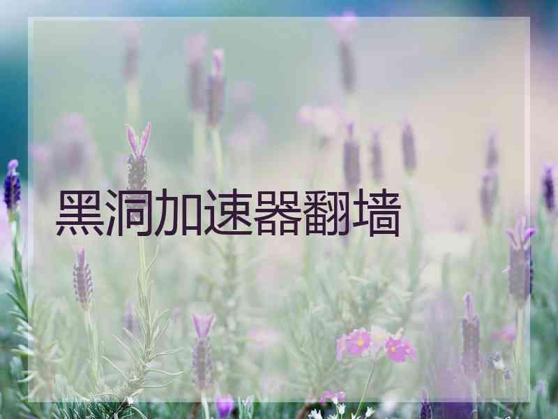 黑洞加速器翻墙