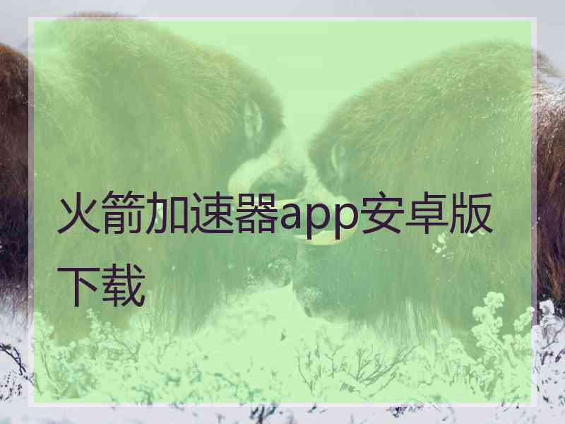 火箭加速器app安卓版下载