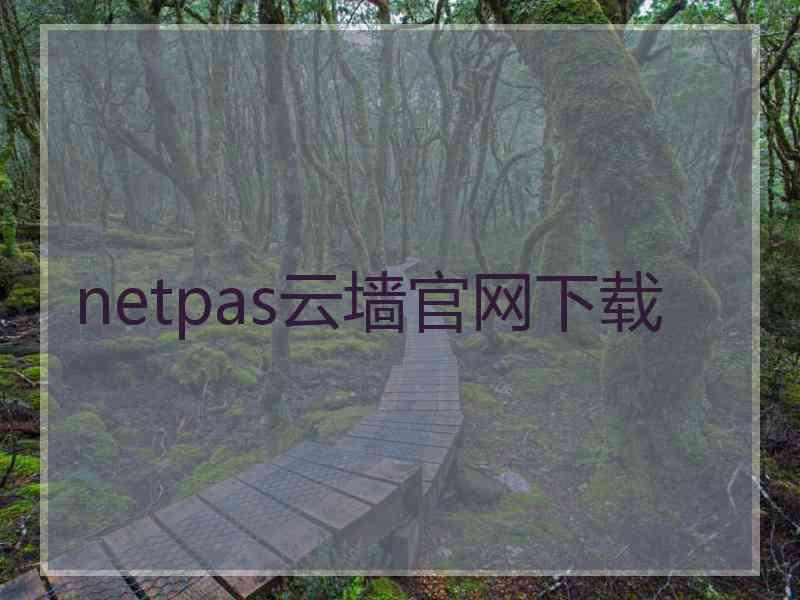 netpas云墙官网下载