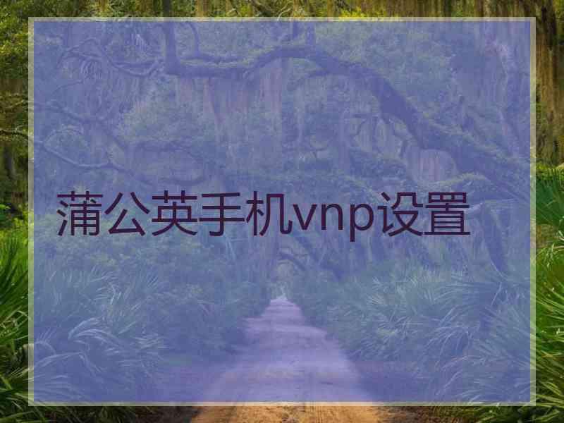 蒲公英手机vnp设置