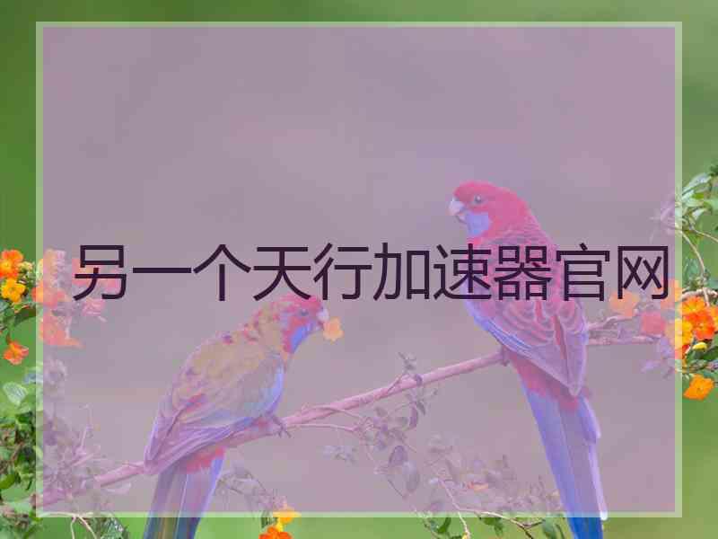 另一个天行加速器官网