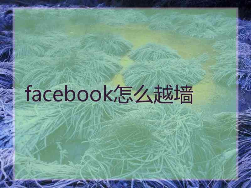 facebook怎么越墙