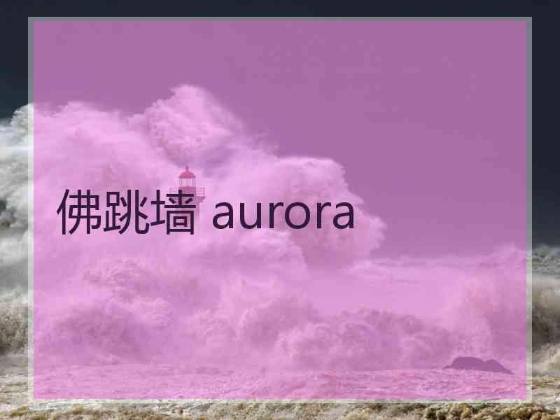 佛跳墙 aurora