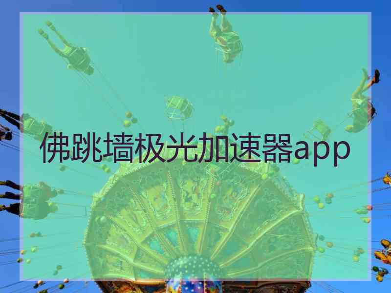 佛跳墙极光加速器app