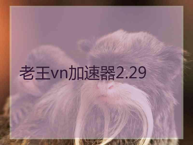 老王vn加速器2.29