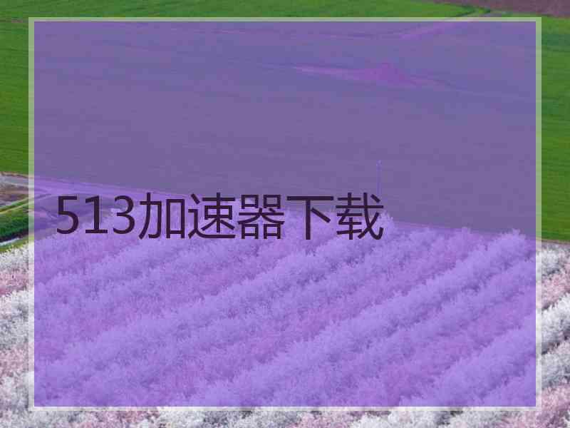 513加速器下载