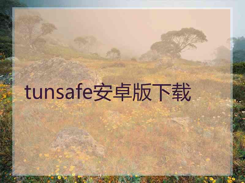 tunsafe安卓版下载