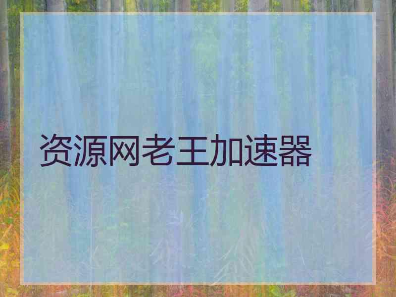 资源网老王加速器