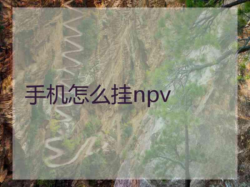 手机怎么挂npv