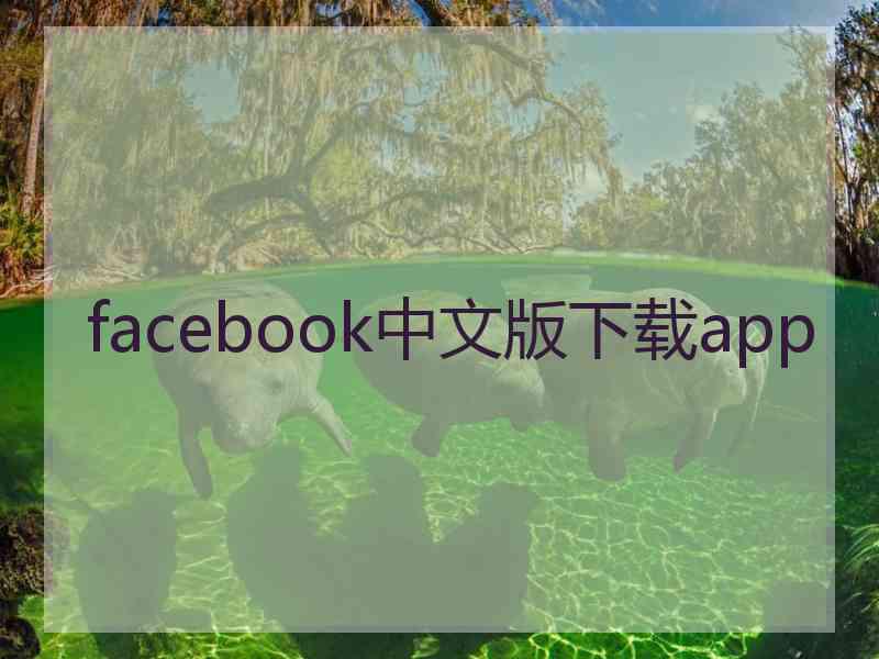 facebook中文版下载app