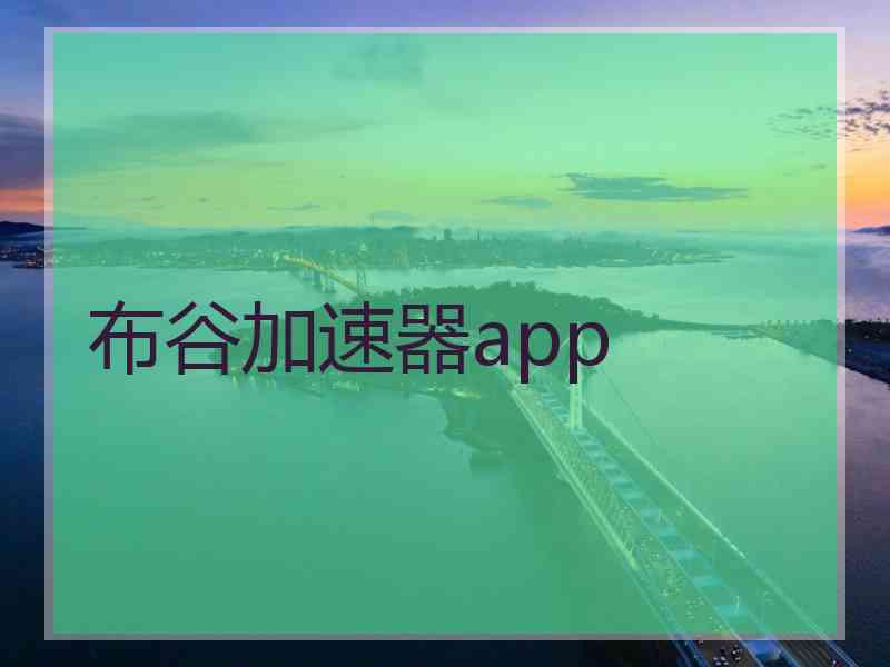 布谷加速器app