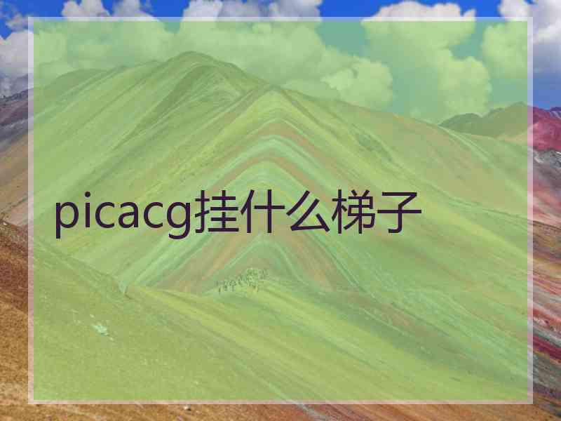 picacg挂什么梯子